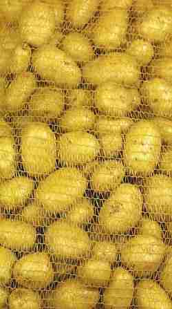 pdeterre jazzy filet 2kg